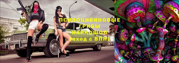 мяу мяу мука Приозерск