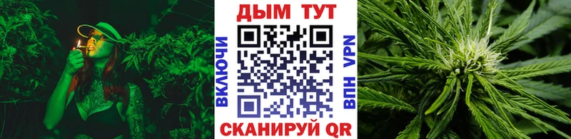 Шишки марихуана индика  Княгинино 